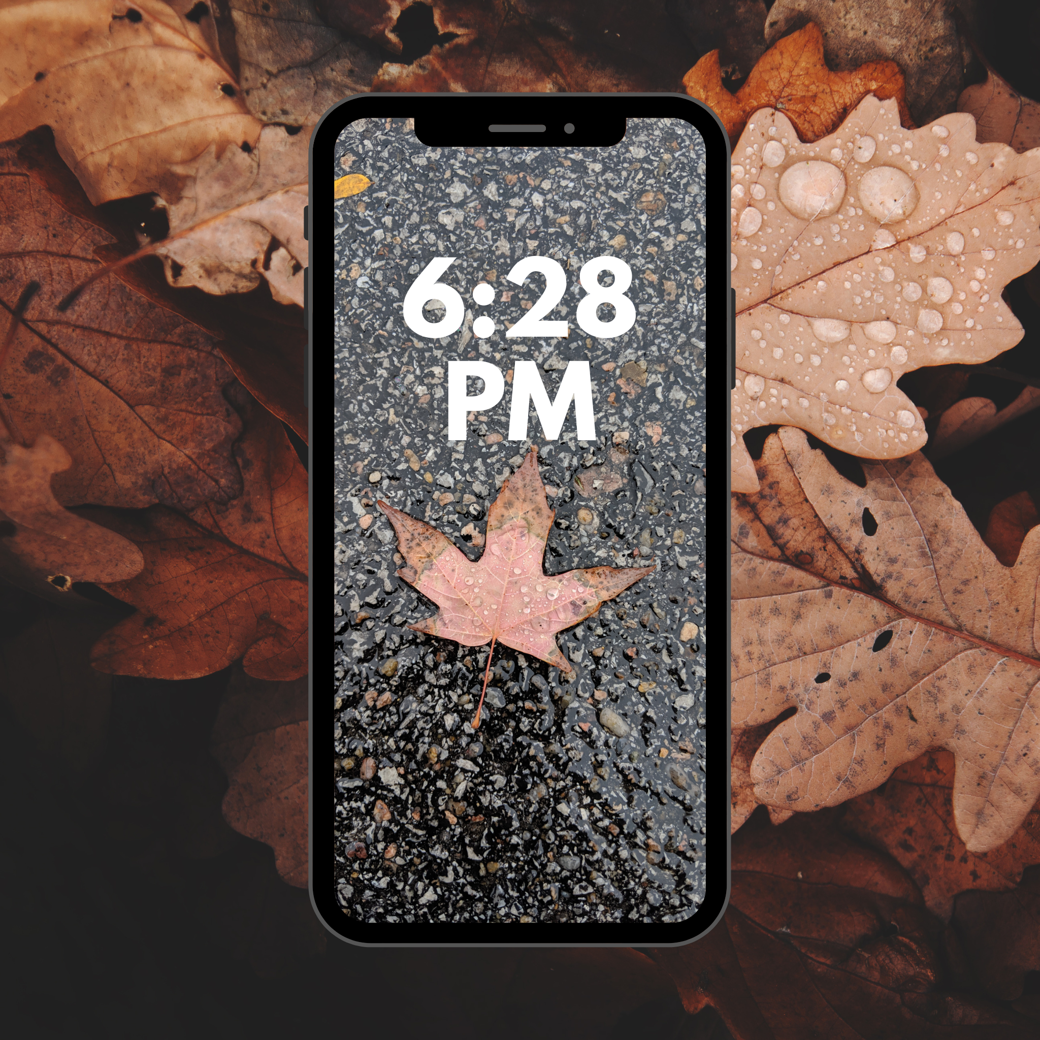 Free Fall Phone Wallpaper